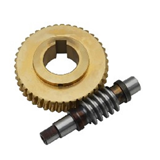 Precision Worm Gears